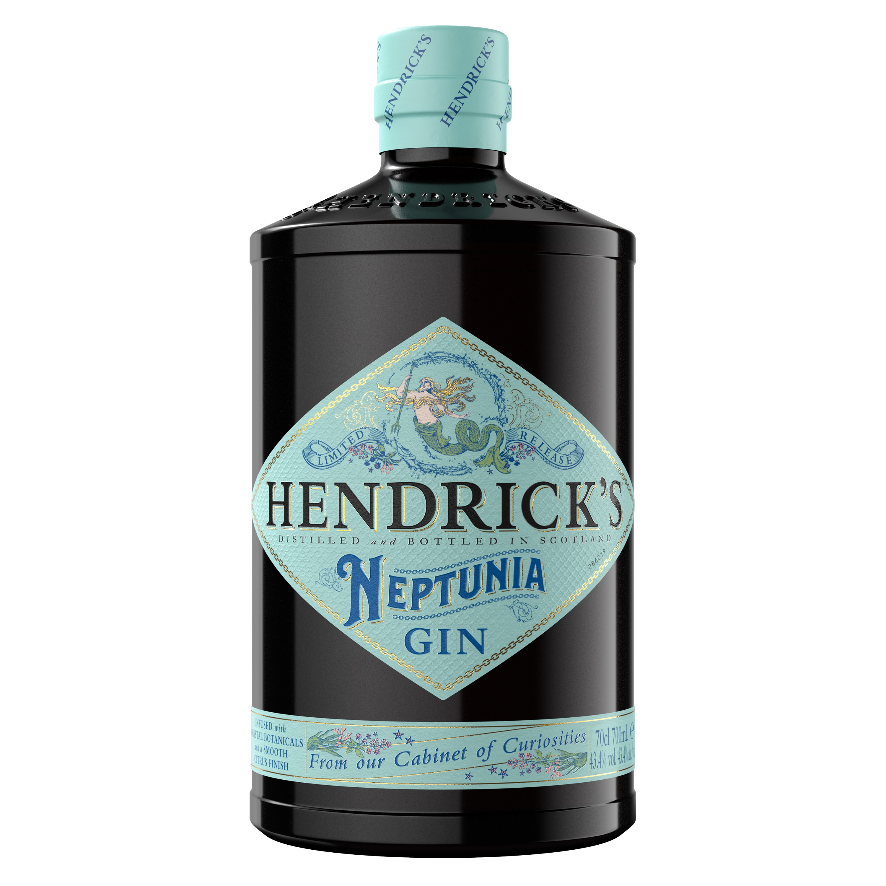 Hendricks Neptunia