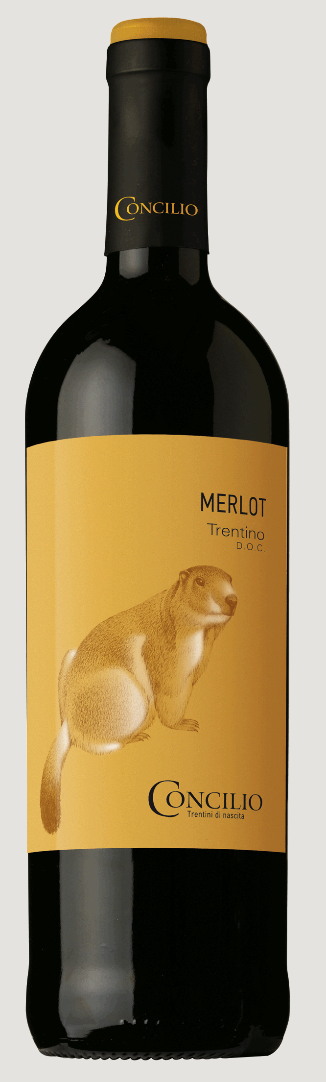 Concilio Merlot Trentino DOP